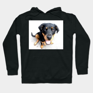 Bella Bella Hoodie